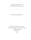redominguezs.pdf.jpg