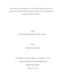echapuelc.pdf.jpg