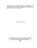 jjpinzonru.pdf.jpg