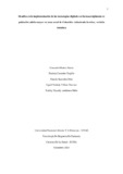Snzambranom.pdf.jpg