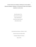 mesanchezvi.pdf.jpg