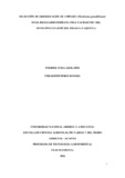 1024517565.pdf.jpg