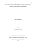 yliscanom.pdf.jpg