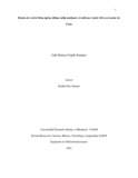 zdtrujilloe.pdf.jpg