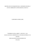 33677410.pdf.jpg