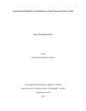 bdipialesr.pdf.jpg