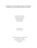 Amdiazho.pdf.jpg