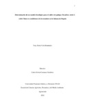Ypvelahe.pdf.jpg