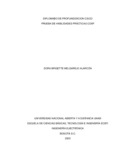Dbmelgarejoa.pdf.jpg