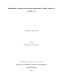 acvidall.pdf.jpg