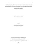 ydcutivap.pdf.jpg