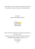 43671524.pdf.jpg