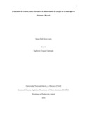 dssolerl.pdf.jpg