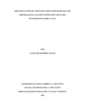ciramireza.pdf.jpg