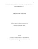 gaagudelor.pdf.jpg