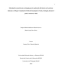 dmballesterosb.pdf.jpg