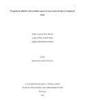 ampalaciomo.pdf.jpg