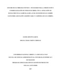 13930873.pdf.jpg