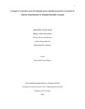 bnnietoc.pdf.jpg
