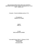 wperezho.pdf.jpg