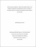 2009-43T-26.pdf.jpg