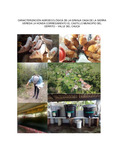 dcruizv.pdf.jpg