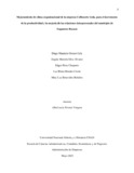 eperezcha.pdf.jpg