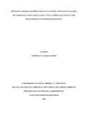 1062294516.pdf.jpg