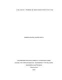 smcastron.pdf.jpg