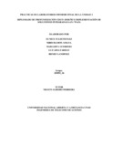 eypaez.pdf.jpg