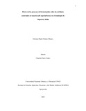 gdgomezb.pdf.jpg