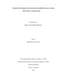 mcmendezb.pdf.jpg