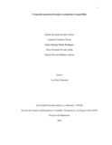 amvelandiacl.pdf.jpg