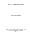raparamom.pdf.jpg