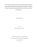egutierrezperez.pdf.jpg