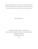 hapinzonc.pdf.jpg