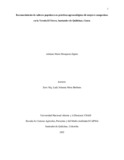 ammosqueraz.pdf.jpg