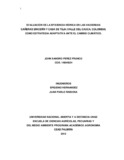 trabajo de grado Evaluacion de la eficiencia hidrica en las hdas Sincerin Casa Teja..pdf.jpg