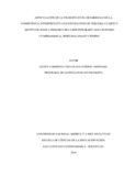 1069054260.pdf.jpg
