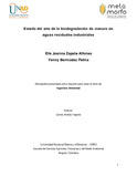 52845368.pdf.jpg