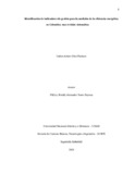 caortizpa.pdf.jpg