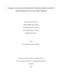 mcmozoc.pdf.jpg