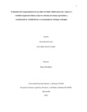 Informe_Proyecto_Aplicado_Rev_15_03_25.pdf.jpg