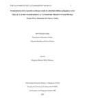 Ichirimiac.pdf.jpg