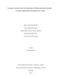 lvmontenegroa.pdf.jpg