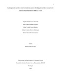 yfnavarroc.pdf.jpg