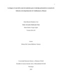 vsilvag.pdf.jpg