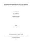 riibarguenm.pdf.jpg