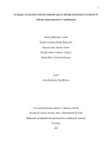 xballesterosc.pdf.jpg