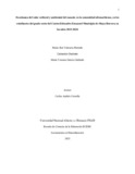cguerrerogue.pdf.jpg
